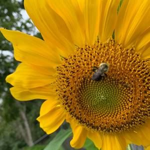 Meet your Posher, Yvonne